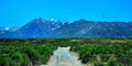 Owen’s Valley (Mountain) Unframed / 8x20