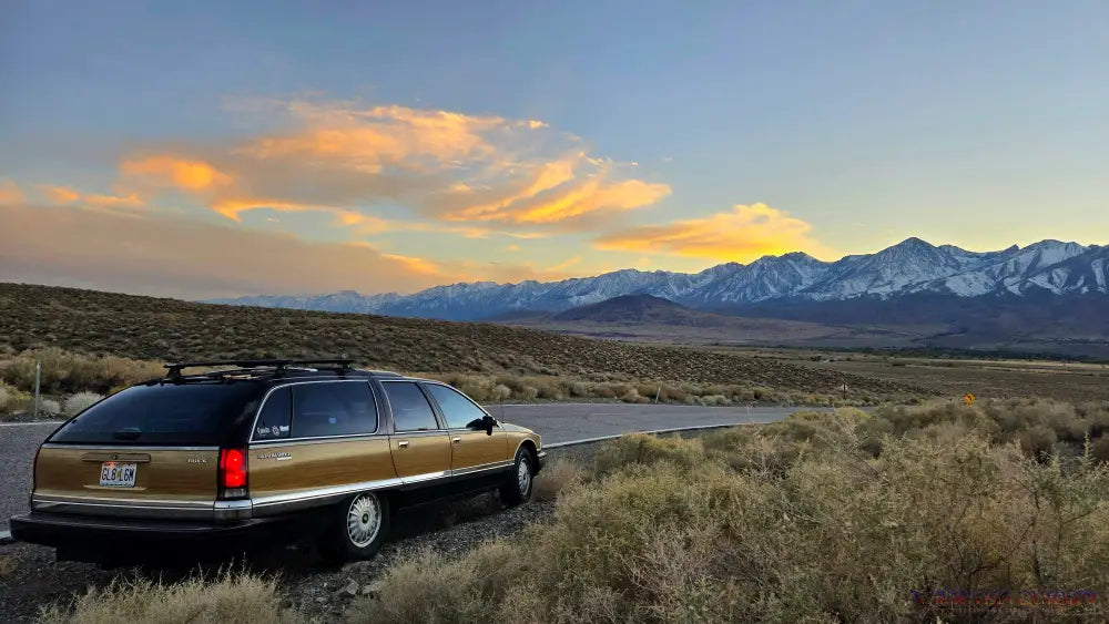 Southern Sierra Woody